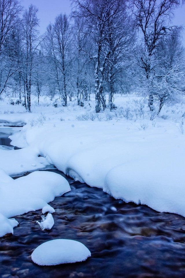 Обои деревья, река, снег, природа, лес, зима, trees, river, snow, nature, forest, winter разрешение 1920x1200 Загрузить