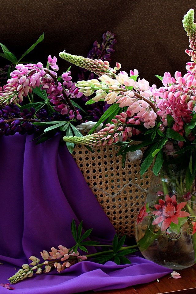 Обои цветы, лето, букет, натюрморт, люпины, flowers, summer, bouquet, still life, lupins разрешение 2000x1350 Загрузить