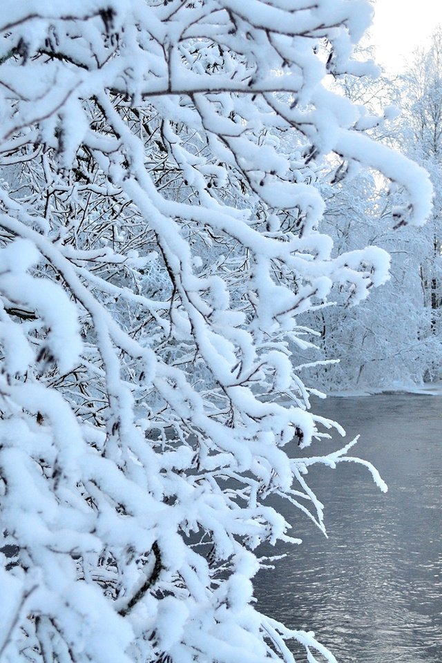 Обои река, снег, природа, лес, зима, river, snow, nature, forest, winter разрешение 1920x1200 Загрузить