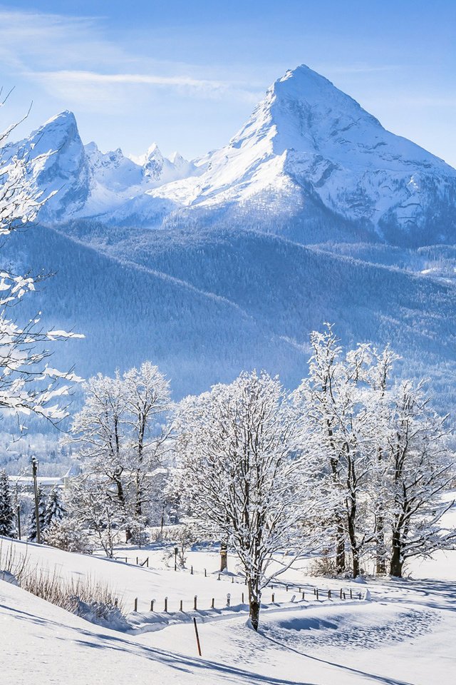 Обои деревья, горы, снег, природа, зима, альпы, бавария, trees, mountains, snow, nature, winter, alps, bayern разрешение 1920x1200 Загрузить