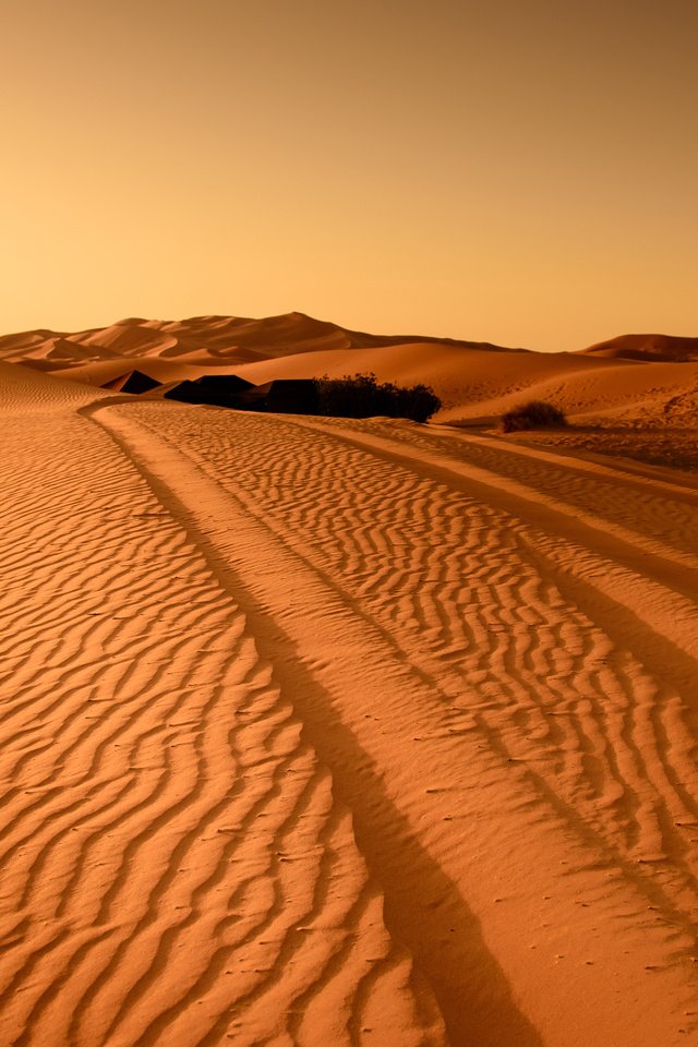 Обои пейзаж, песок, пустыня, следы, дюны, landscape, sand, desert, traces, dunes разрешение 3840x2400 Загрузить