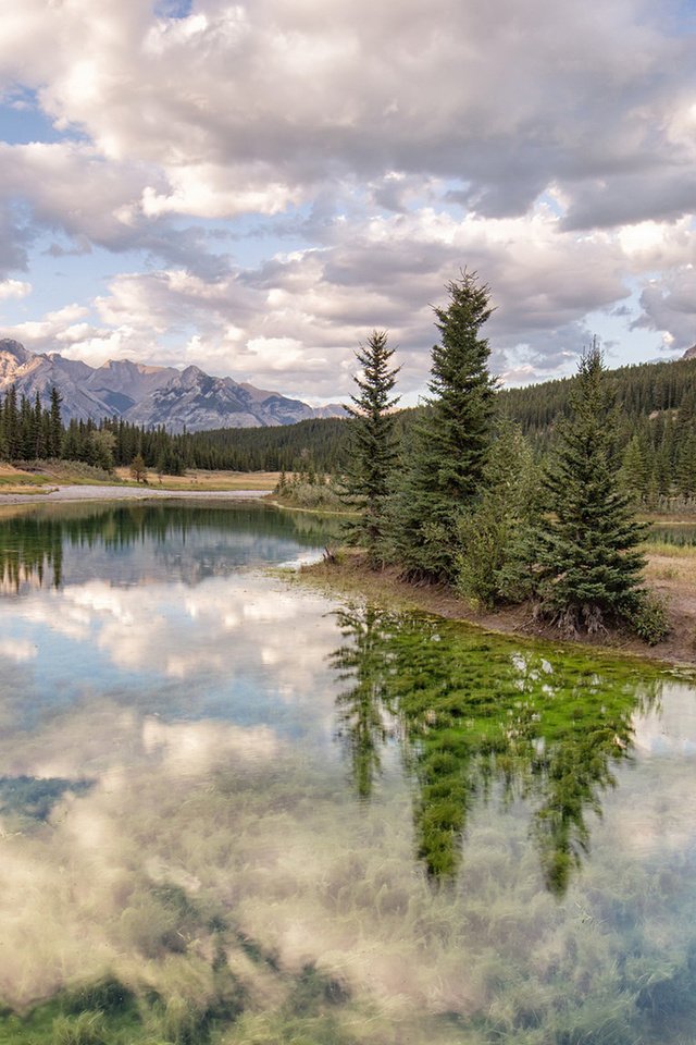 Обои небо, облака, река, горы, природа, лес, отражение, the sky, clouds, river, mountains, nature, forest, reflection разрешение 1920x1080 Загрузить