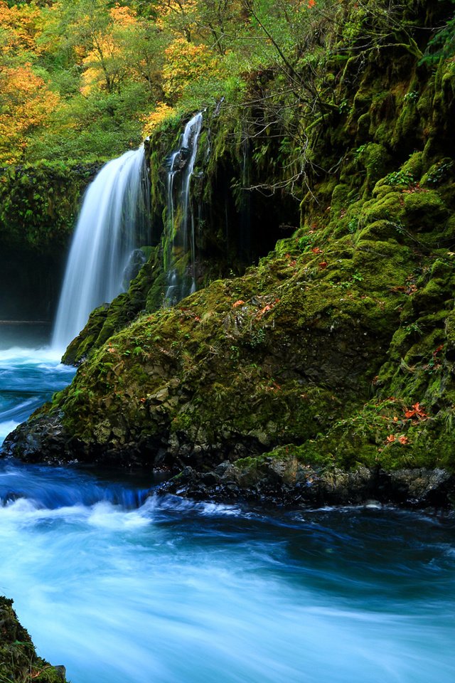 Обои река, природа, лес, водопад, осень, river, nature, forest, waterfall, autumn разрешение 1920x1200 Загрузить