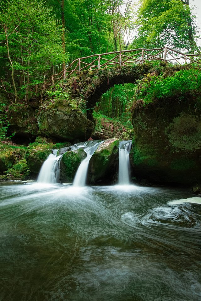 Обои река, природа, лес, мост, водопад, olivier ferrari, river, nature, forest, bridge, waterfall разрешение 1920x1200 Загрузить