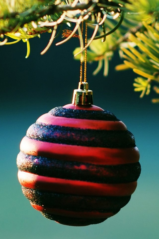 Обои новый год, елка, шар, рождество, new year, tree, ball, christmas разрешение 1920x1200 Загрузить