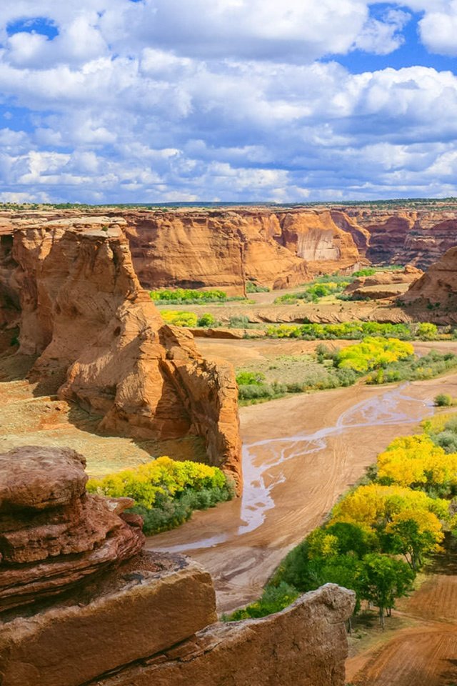 Обои небо, цветы, облака, скалы, пейзаж, каньон, de chelly, the sky, flowers, clouds, rocks, landscape, canyon разрешение 3840x2160 Загрузить