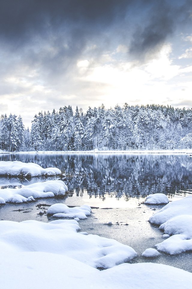 Обои деревья, река, снег, природа, лес, зима, aamarius kaniewskis, trees, river, snow, nature, forest, winter разрешение 1920x1200 Загрузить