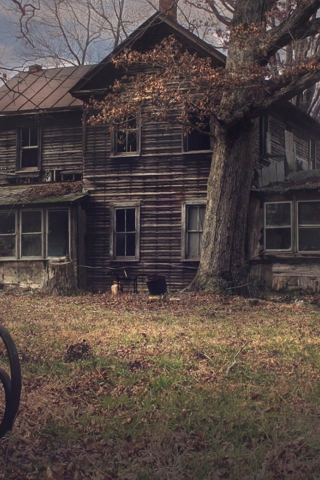 Обои деревья, развалины, дом, старый, ферма, кресло-качалка, trees, the ruins, house, old, farm, rocking chair разрешение 1920x1200 Загрузить