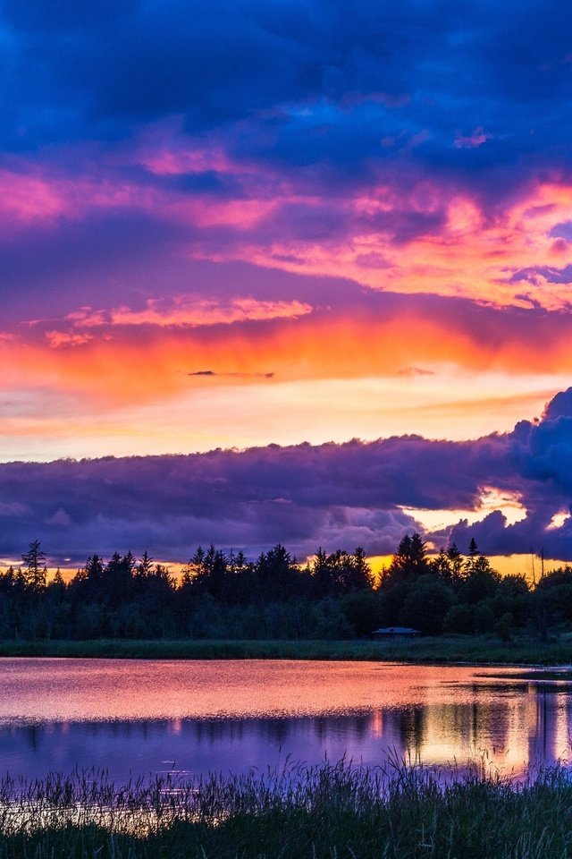 Обои деревья, вечер, озеро, природа, закат, пейзаж, небо облака, trees, the evening, lake, nature, sunset, landscape, sky clouds разрешение 3840x2160 Загрузить