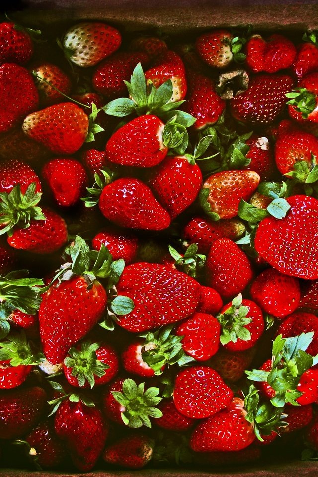 Обои клубника, ягоды, много, strawberry, berries, a lot разрешение 3264x2448 Загрузить