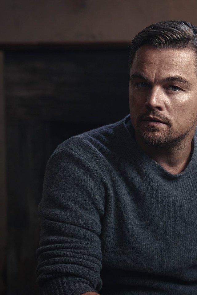 Обои взгляд, актёр, лицо, мужчина, леонардо ди каприо, кинозвезда, eonardo dicaprio, look, actor, face, male, leonardo dicaprio, movie star разрешение 2048x1536 Загрузить