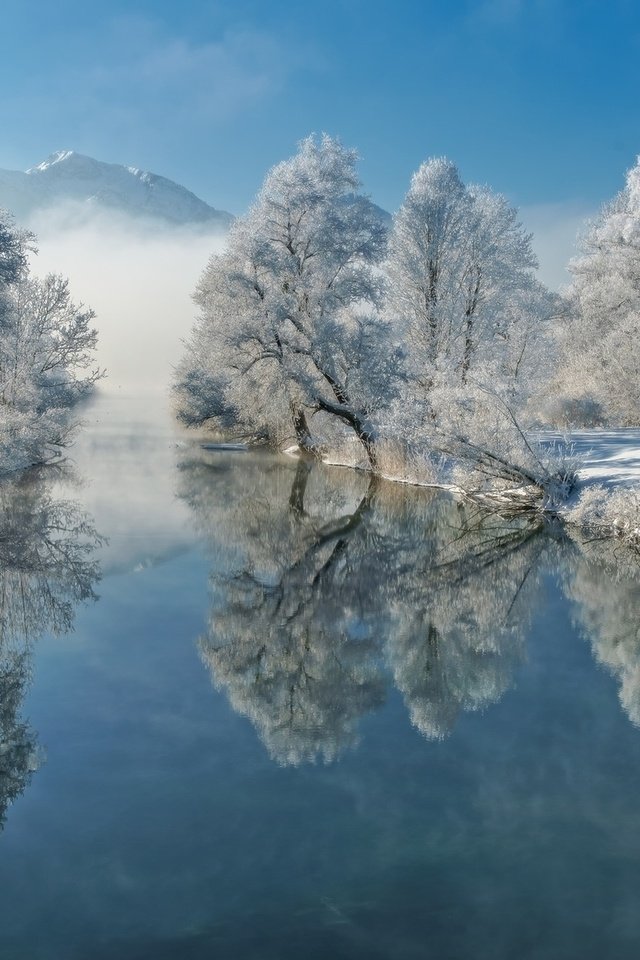 Обои деревья, река, зима, отражение, иней, trees, river, winter, reflection, frost разрешение 1920x1200 Загрузить