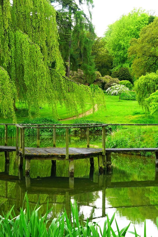 Обои деревья, река, мостик, парк, лето, англия, trees, river, the bridge, park, summer, england разрешение 3900x2600 Загрузить