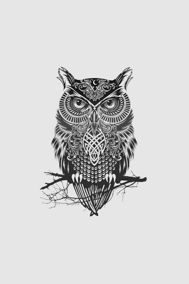 Обои арт, сова, минимализм, птица, art, owl, minimalism, bird разрешение 1920x1080 Загрузить