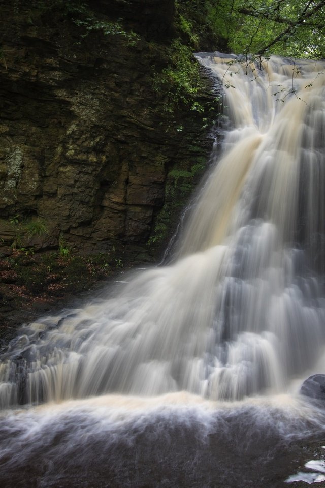 Обои деревья, скалы, природа, пейзаж, водопад, поток, trees, rocks, nature, landscape, waterfall, stream разрешение 2048x1365 Загрузить