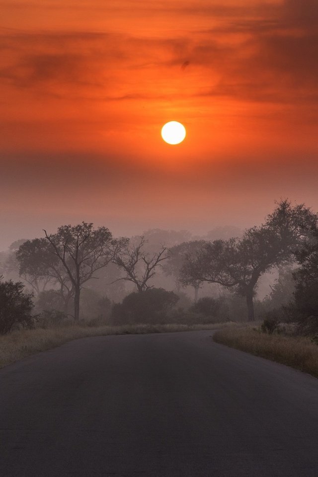 Обои дорога, облака, деревья, солнце, закат, пейзаж, туман, сумерки, road, clouds, trees, the sun, sunset, landscape, fog, twilight разрешение 2048x1118 Загрузить