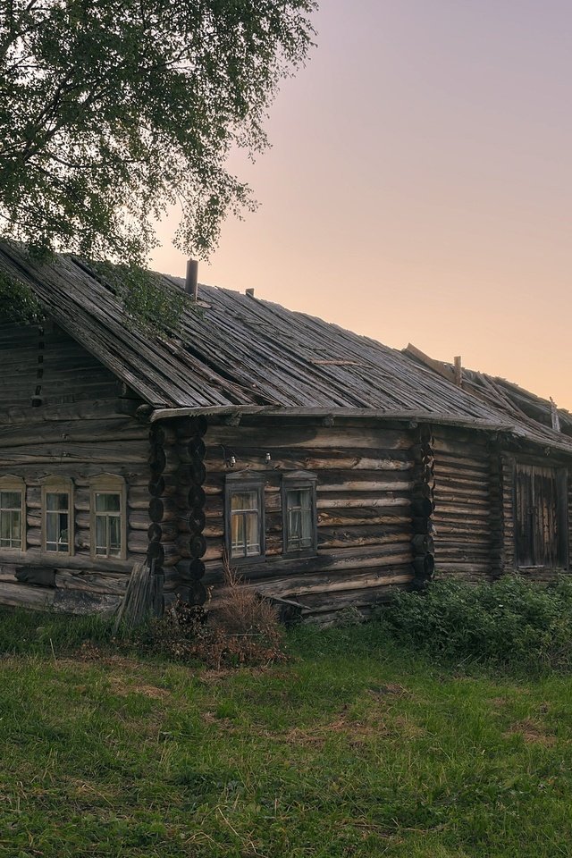 Обои трава, березы, лето, деревня, дом, архангельская область, печище, grass, birch, summer, village, house, arkhangelsk oblast, pechysche разрешение 2391x1400 Загрузить