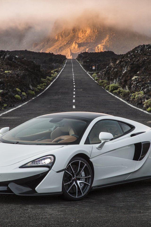 Обои дорога, белый, суперкар, макларен, 570s, road, white, supercar, mclaren разрешение 4096x2601 Загрузить