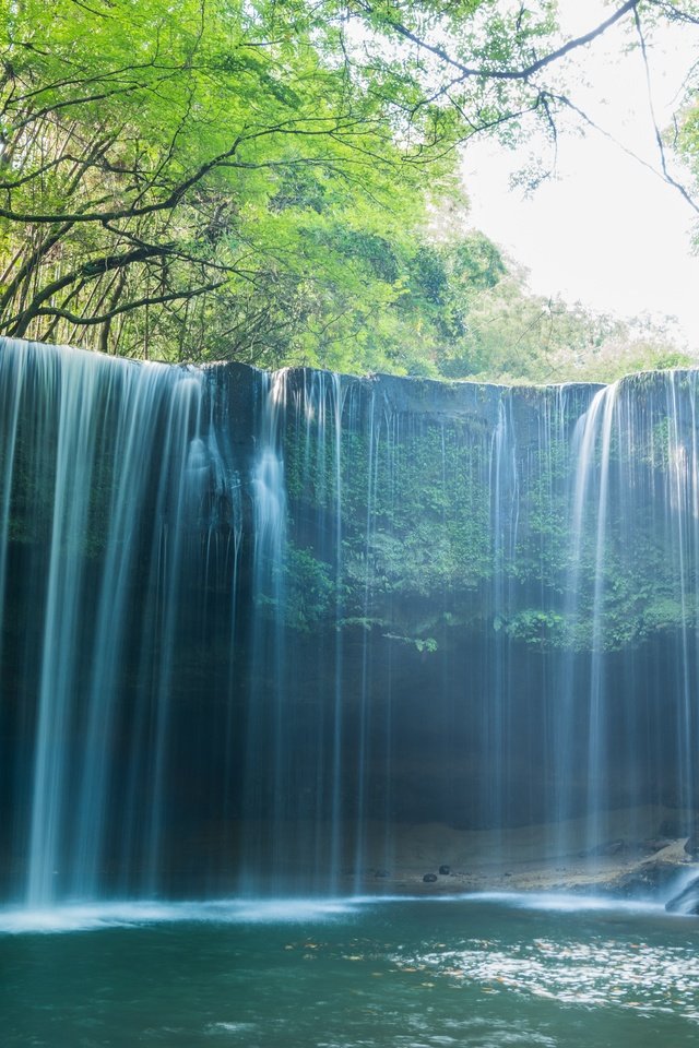 Обои деревья, вода, камни, лес, водопад, trees, water, stones, forest, waterfall разрешение 7360x4912 Загрузить