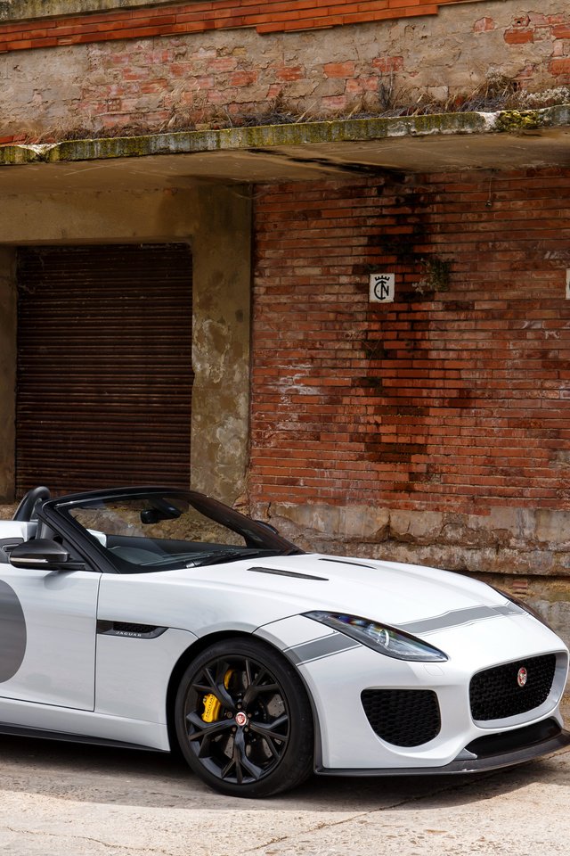 Обои стена, белый, кирпичи, автомобиль, f-type, ягуа́р, wall, white, bricks, car, jaguar разрешение 4096x2731 Загрузить