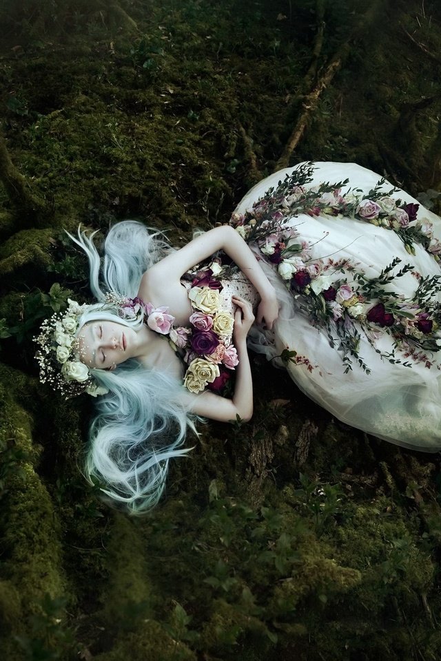 Обои цветы, девушка, мох, bella kotak, flowers, girl, moss разрешение 2048x1667 Загрузить