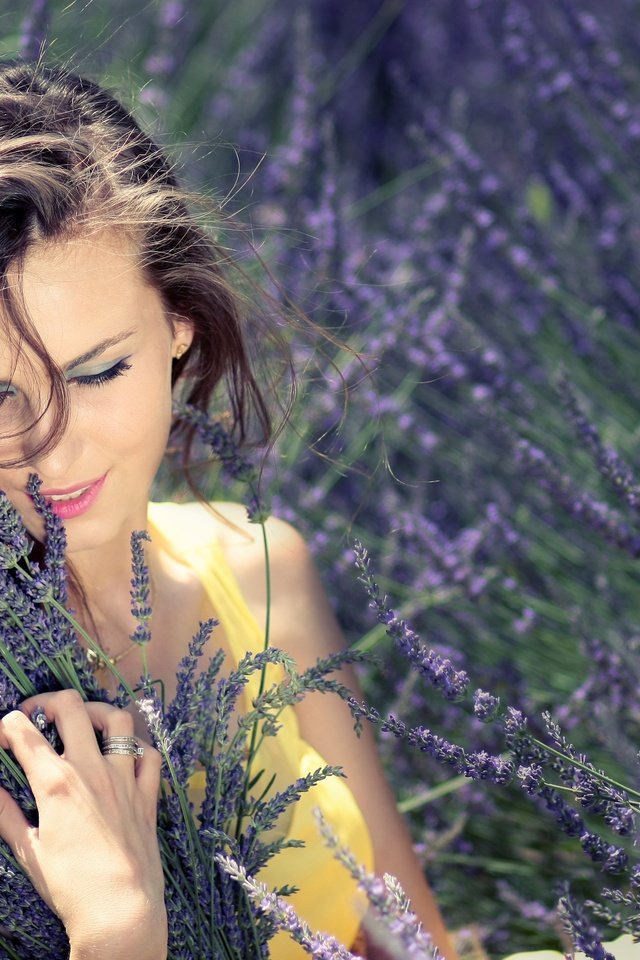 Обои цветы, девушка, лаванда, букет, flowers, girl, lavender, bouquet разрешение 4272x2848 Загрузить