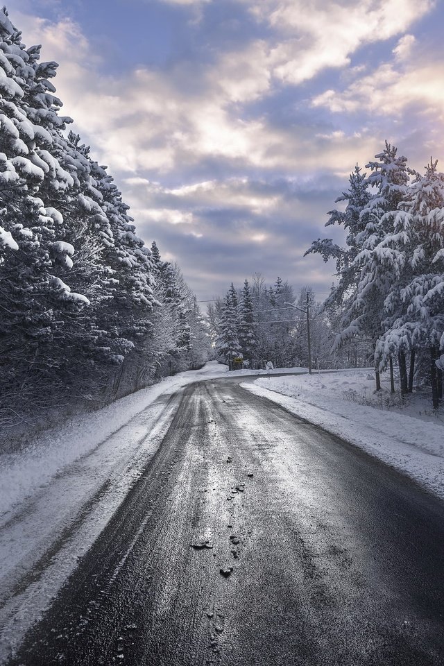 Обои дорога, снег, природа, лес, зима, лесополоса, road, snow, nature, forest, winter разрешение 2047x1292 Загрузить