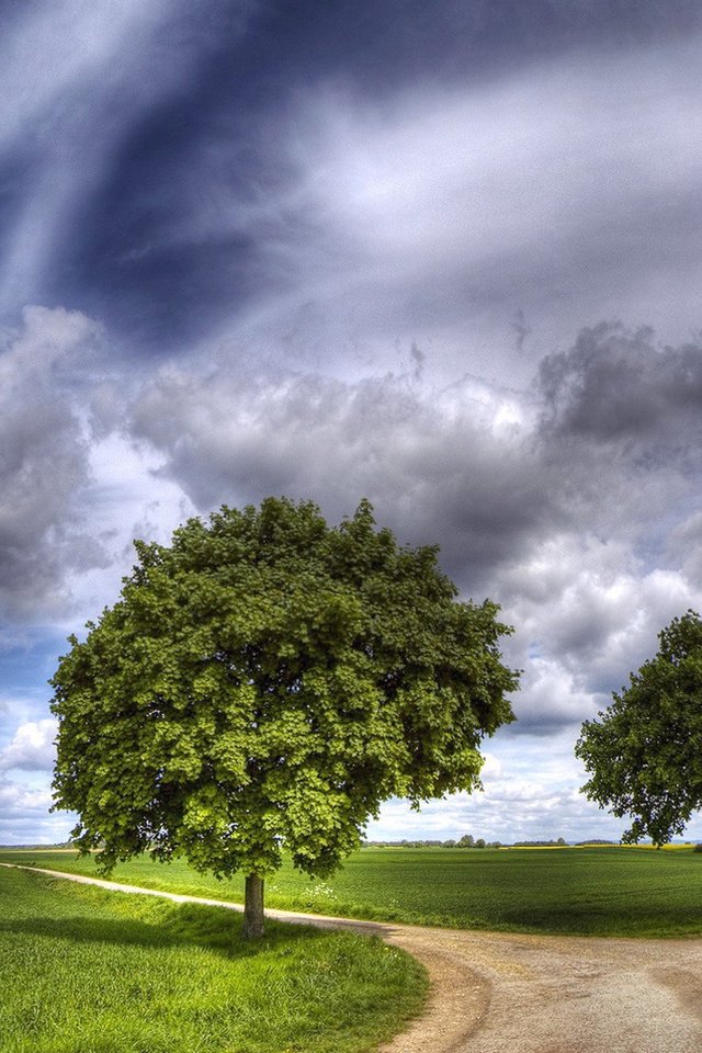 Обои небо, дорога, трава, облака, природа, зелень, пейзаж, луг, the sky, road, grass, clouds, nature, greens, landscape, meadow разрешение 1920x1080 Загрузить