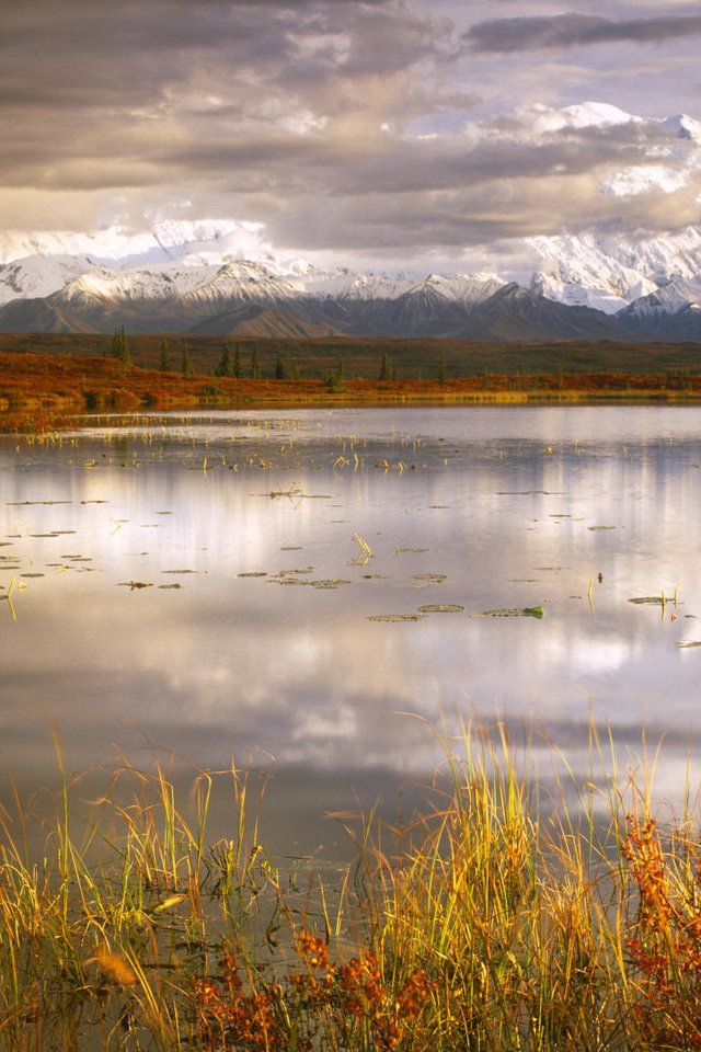 Обои трава, озеро, пасмурно, grass, lake, overcast разрешение 1920x1080 Загрузить