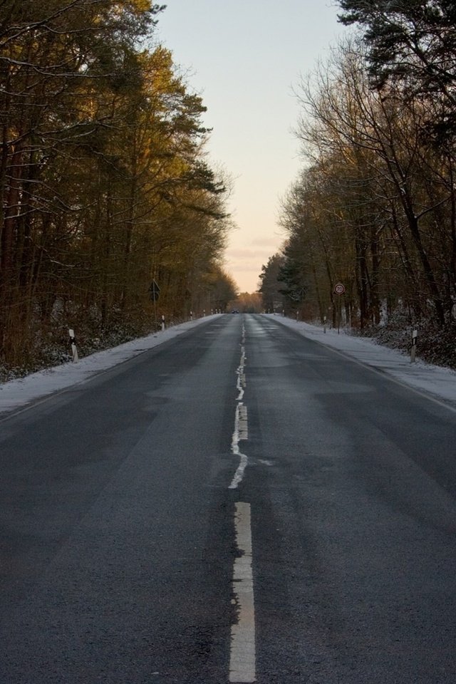 Обои дорога, лес, зима, разметка, знак, road, forest, winter, markup, sign разрешение 1920x1080 Загрузить