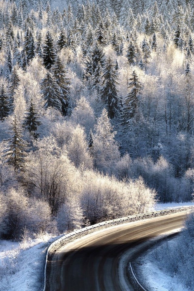 Обои дорога, лес, зима, иней, road, forest, winter, frost разрешение 2112x1188 Загрузить