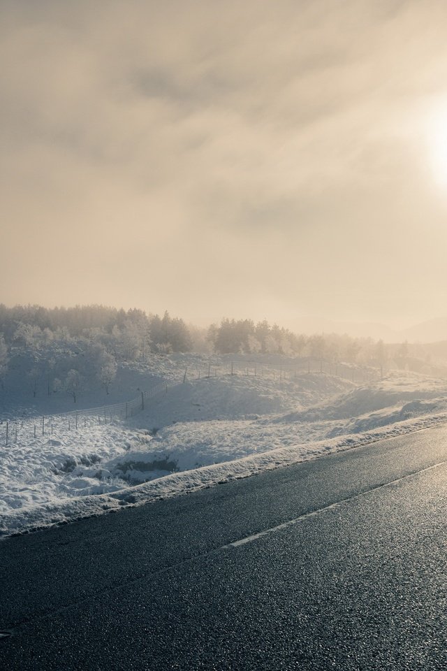 Обои дорога, зима, утро, туман, road, winter, morning, fog разрешение 2048x1367 Загрузить