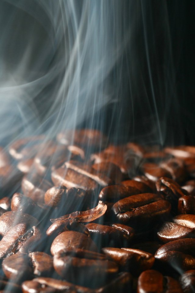 Обои зерна, кофе, grain, coffee разрешение 1920x1200 Загрузить