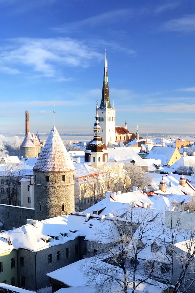 Обои снег, зима, город, старый, эстония, таллин, snow, winter, the city, old, estonia, tallinn разрешение 2560x1600 Загрузить