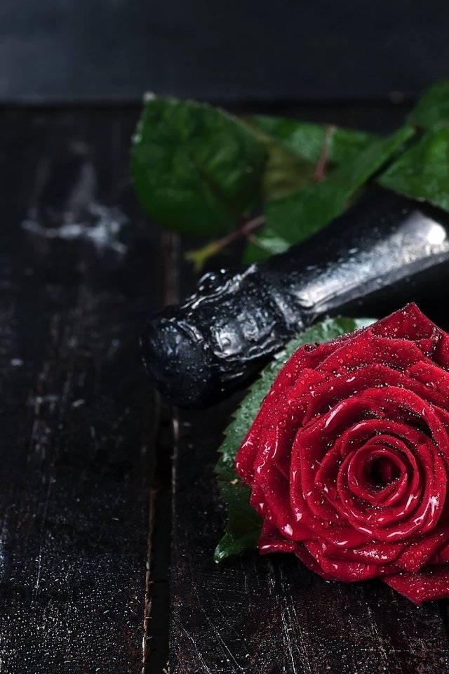 Обои цветы, роза, лепестки, сердце, шампанское, flowers, rose, petals, heart, champagne разрешение 1920x1200 Загрузить