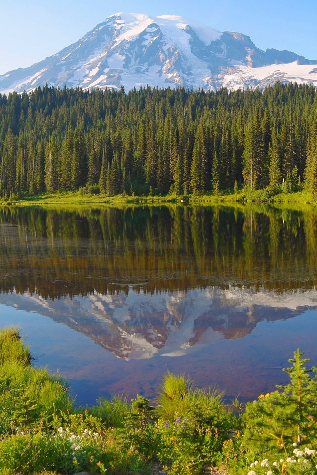 Обои озеро, лес, гора, канада, lake, forest, mountain, canada разрешение 4912x3264 Загрузить