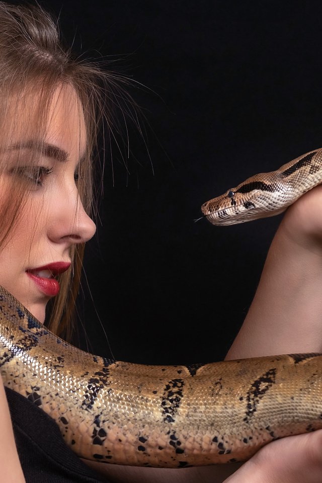 Обои девушка, ситуация, змея, girl, the situation, snake разрешение 2112x1188 Загрузить