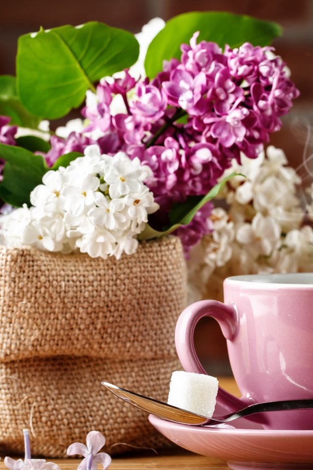 Обои кофе, букет, чашка, сирень, coffee, bouquet, cup, lilac разрешение 2112x1188 Загрузить