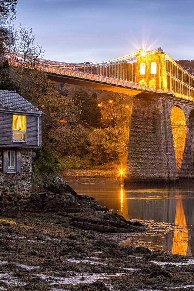 Обои деревья, мост, дом, англия, пролив, уэльс, menai bridge, пролив менай, menai strait, trees, bridge, house, england, strait, wales, the menai strait разрешение 2112x1188 Загрузить