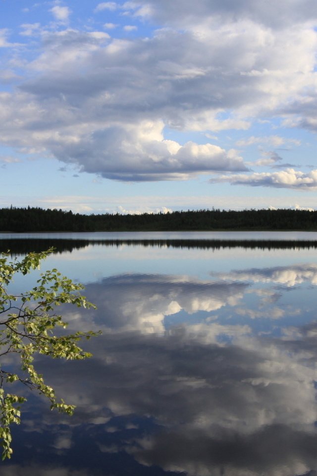 Обои река, берёзка, river, birch разрешение 1920x1080 Загрузить