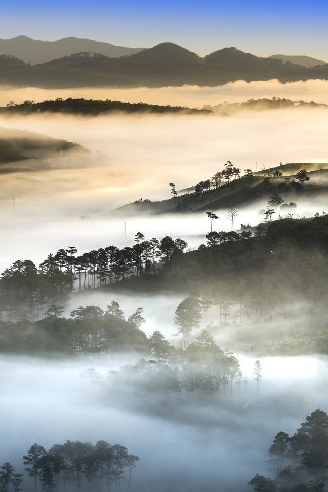 Обои деревья, холмы, природа, утро, туман, вьетнам, trees, hills, nature, morning, fog, vietnam разрешение 7680x4262 Загрузить