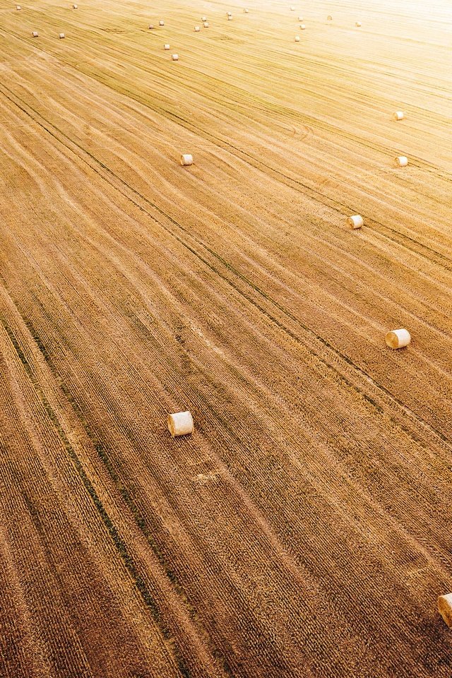 Обои природа, поле, сено, вид сверху, nature, field, hay, the view from the top разрешение 2048x1366 Загрузить