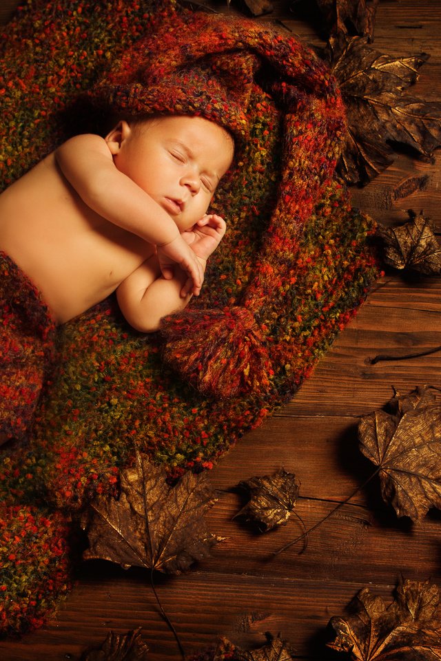 Обои листья, листва, сон, дети, ребенок, спящий, младенец грудной ребёнок, leaves, foliage, sleep, children, child разрешение 4318x3090 Загрузить