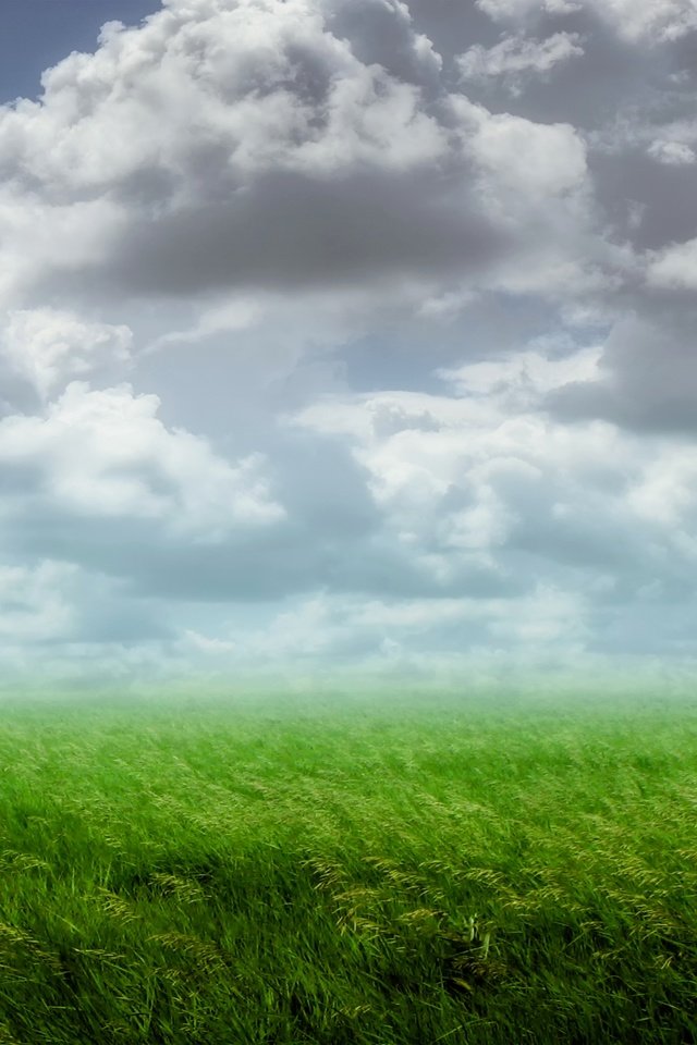 Обои облака, растения, пейзаж, поле, clouds, plants, landscape, field разрешение 3840x2160 Загрузить