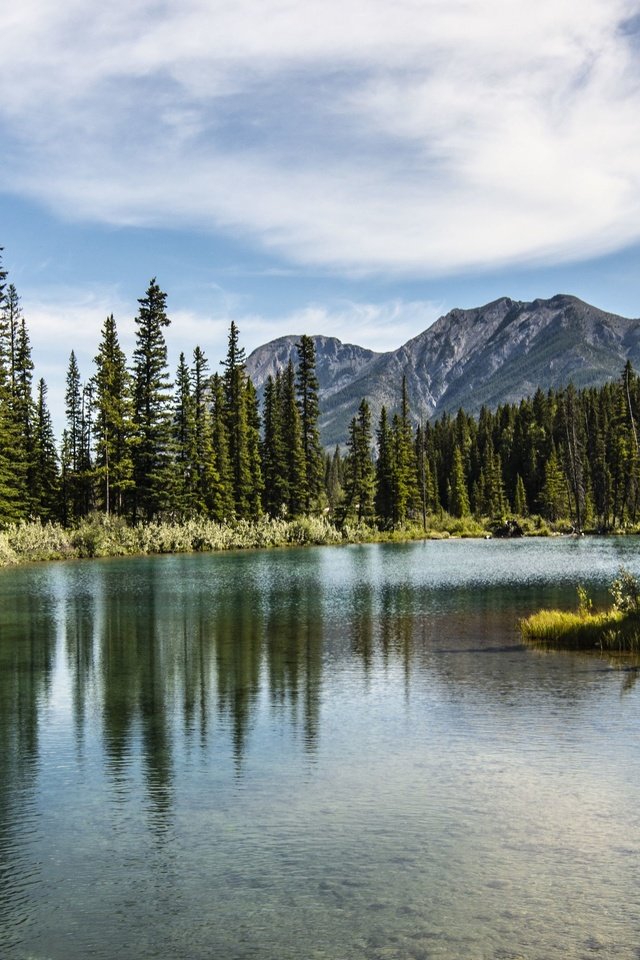 Обои деревья, озеро, горы, лес, вершины, trees, lake, mountains, forest, tops разрешение 3840x2160 Загрузить