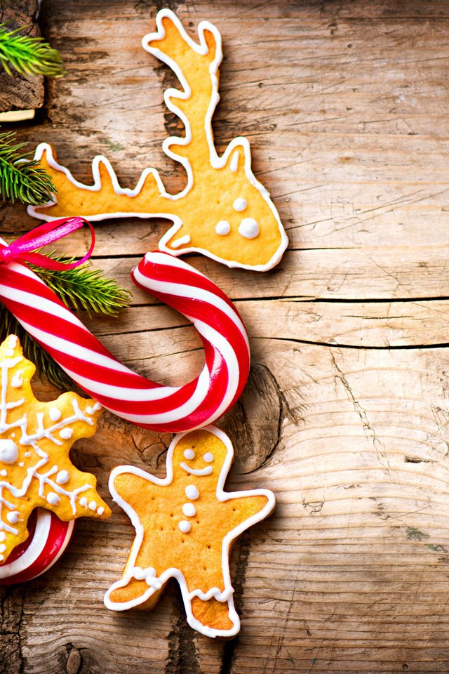 Обои новый год, праздник, рождество, печенье, леденцы, угощения, ветки ели, новогоднее печенье, new year, holiday, christmas, cookies, lollipops, treats, fir-tree branches разрешение 1920x1200 Загрузить
