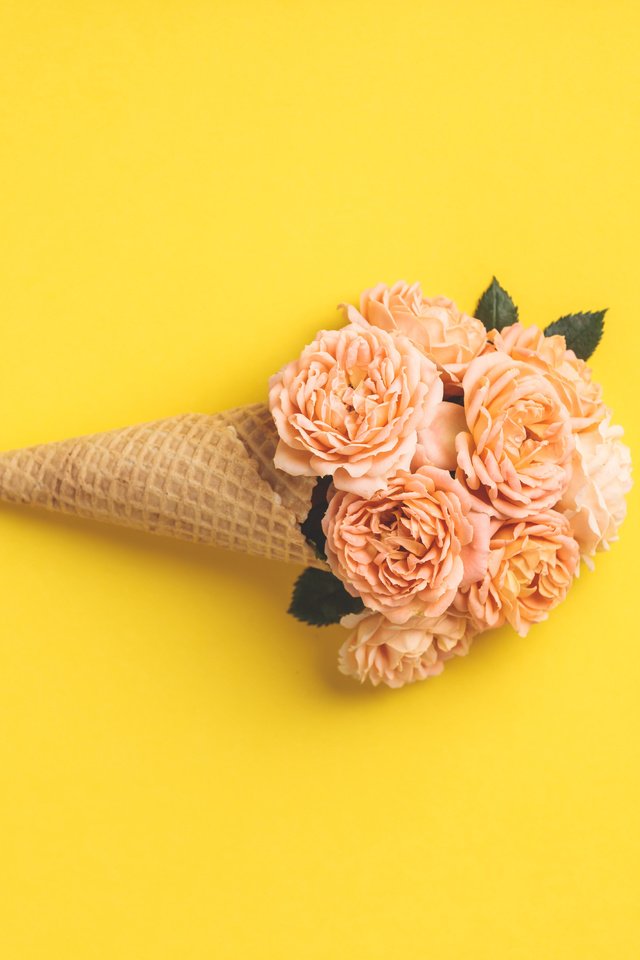 Обои фон, розы, желтые, вафельный рожок, background, roses, yellow, waffle cone разрешение 8000x5333 Загрузить