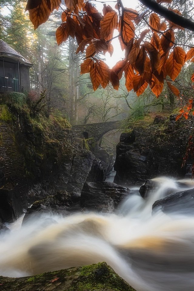 Обои река, лес, мост, водопад, осень, поток, здание, шотландия, river, forest, bridge, waterfall, autumn, stream, the building, scotland разрешение 1940x1222 Загрузить