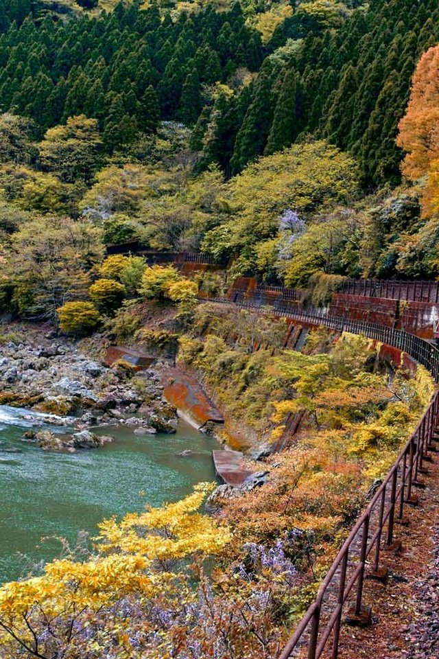 Обои япония, киото, поезд, japan, kyoto, train разрешение 1920x1080 Загрузить