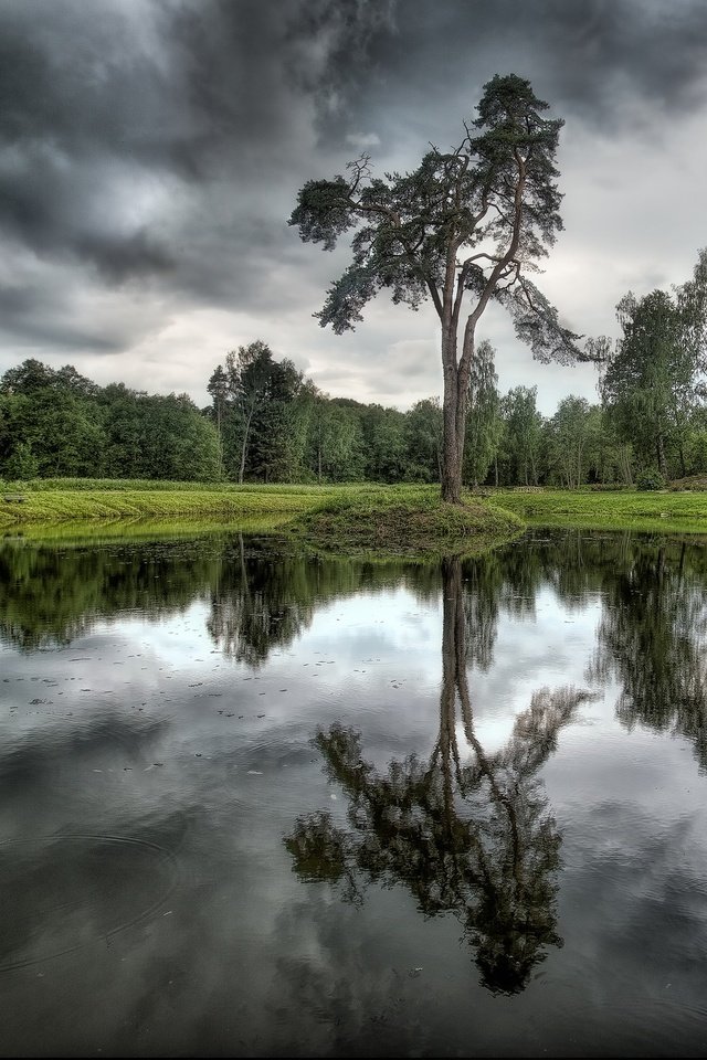 Обои деревья, озеро, тучи, отражение, trees, lake, clouds, reflection разрешение 2048x1365 Загрузить